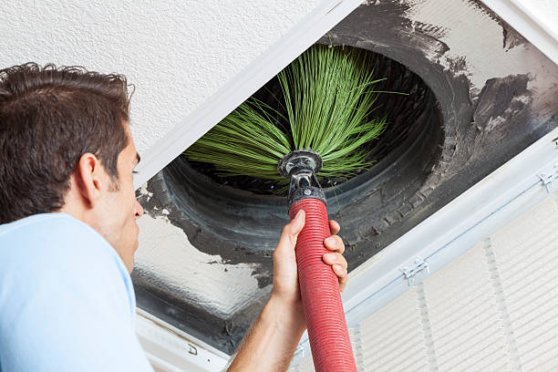 Best Affordable Duct Cleaning Services  in Dutch Island, GA